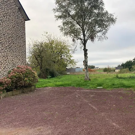 Clairiere Des Fees En Broceliande *